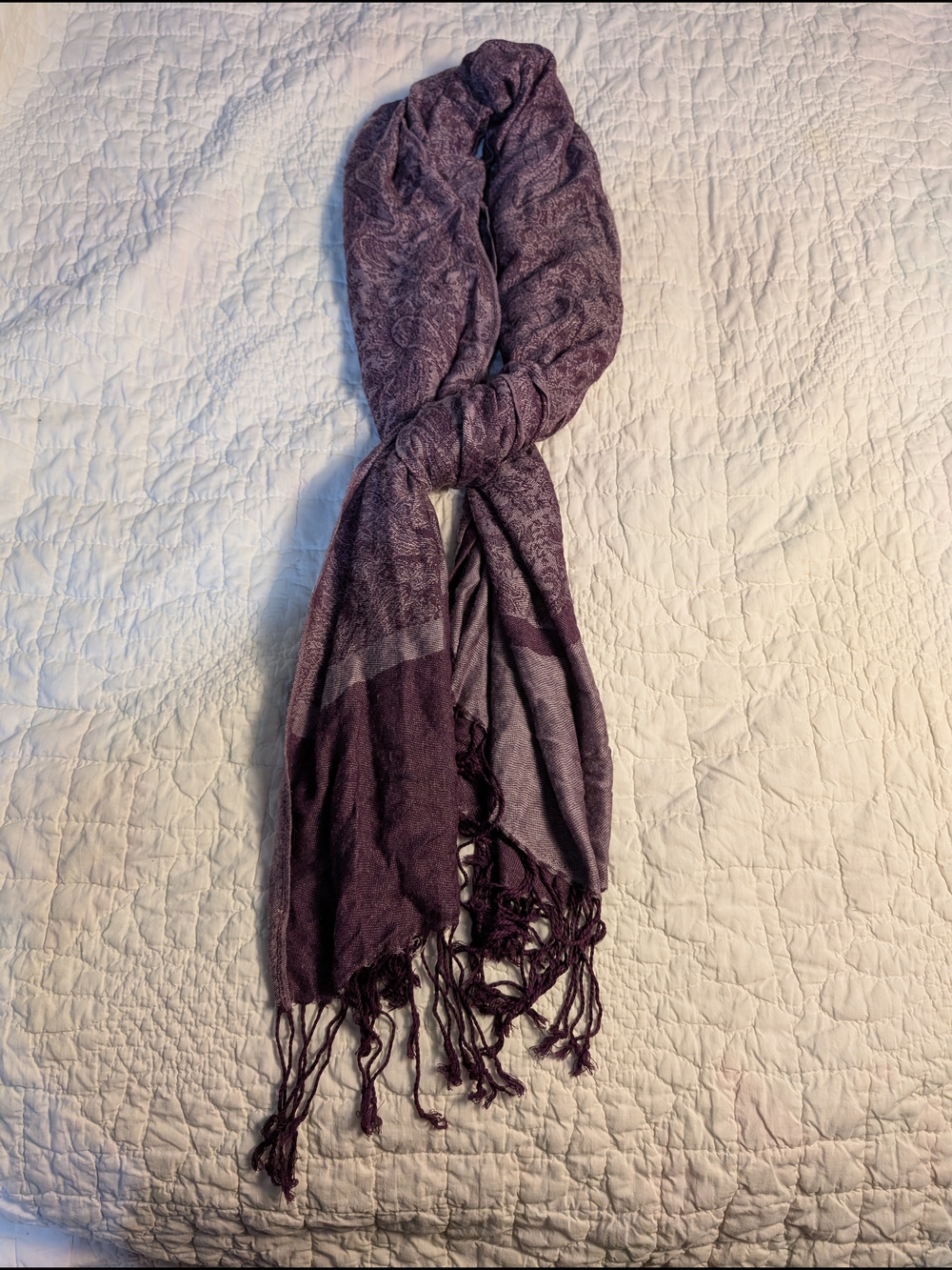 Plum Purple Women's Fringe Scarf - Brand